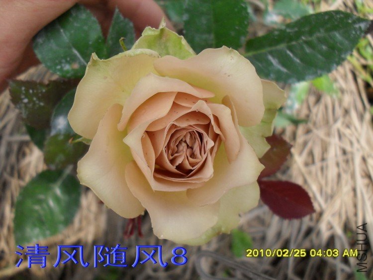 ��������11 (1).jpg