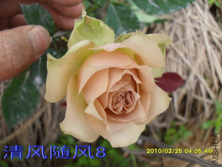 ��������11 (7).jpg