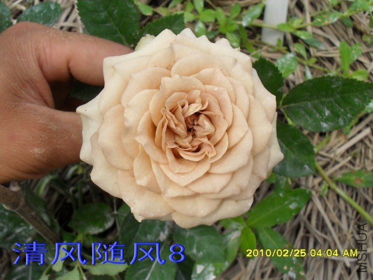 ��������11 (5).jpg