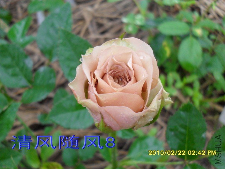 ��������11 (8).jpg