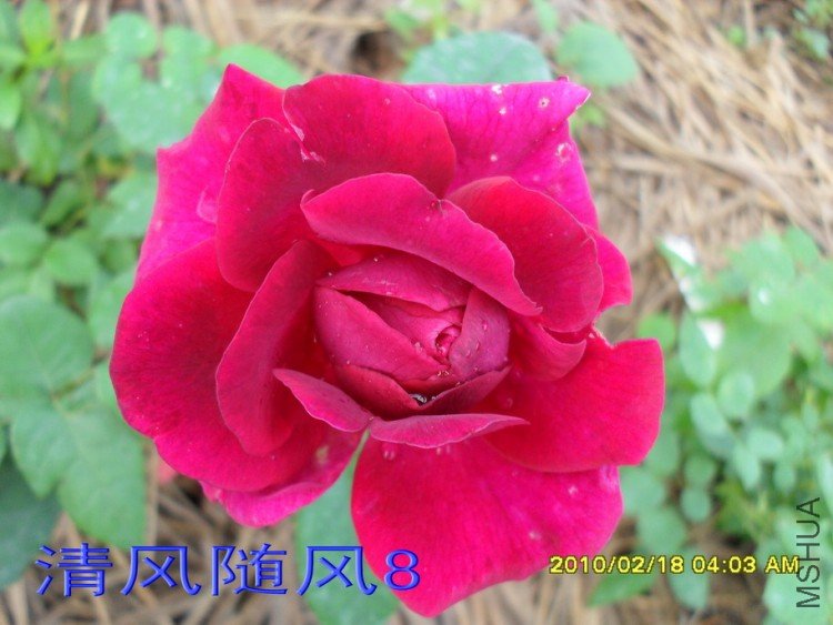 ��Ӱ����11 (1).jpg