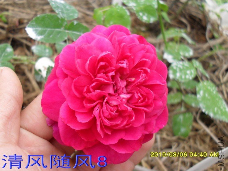 ��Ӱ����11 (6).jpg