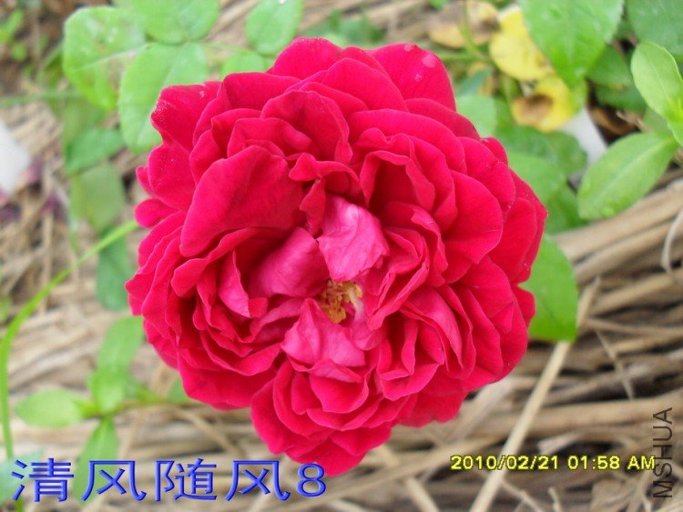 ��Ӱ����11 (5).jpg