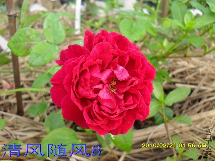 ��Ӱ����11 (3).jpg