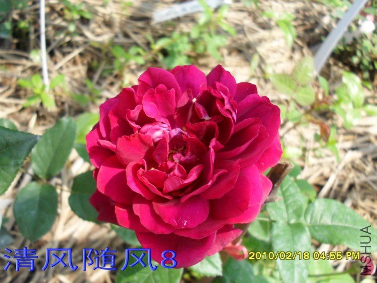 ��Ӱ����11 (2).jpg