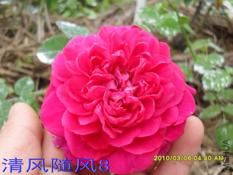 ��Ӱ����11 (7).jpg