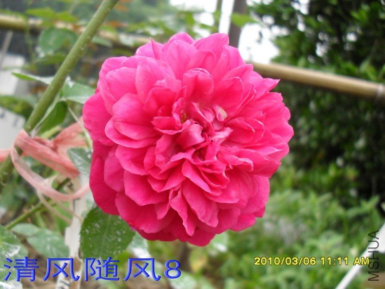 ��Ӱ����11 (8).jpg