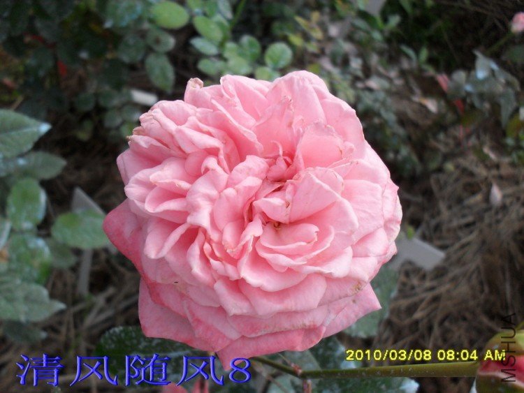 ������11 (1).jpg