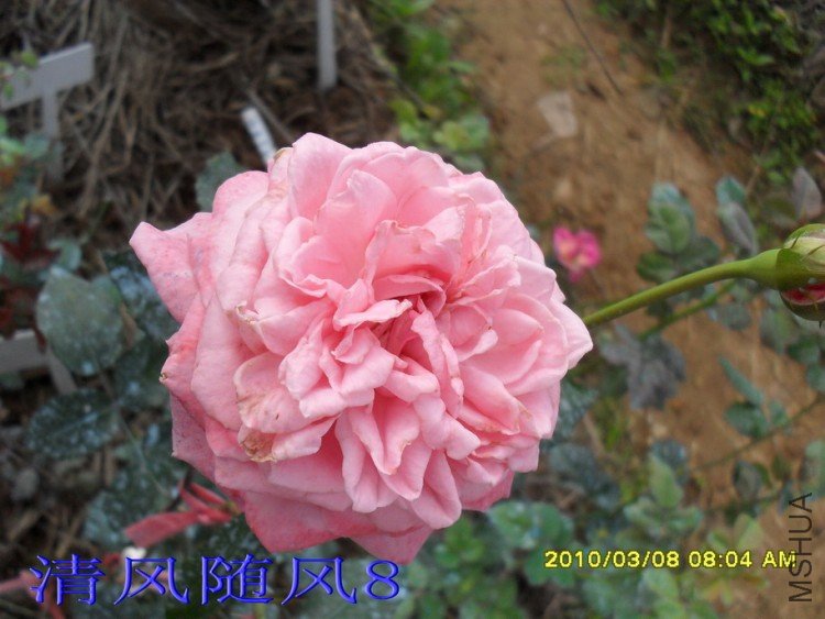 ������11 (2).jpg