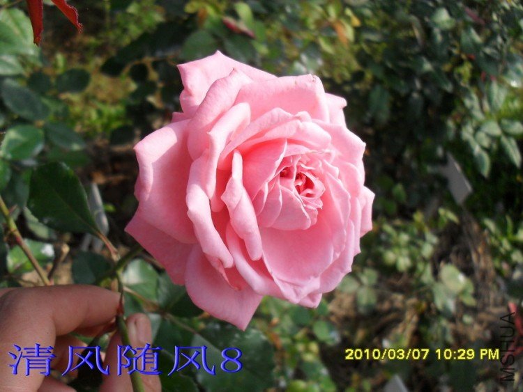 ������11 (3).jpg