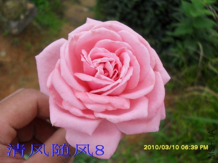 ������11 (5).jpg