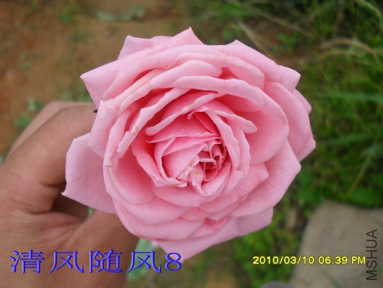 ������11 (7).jpg