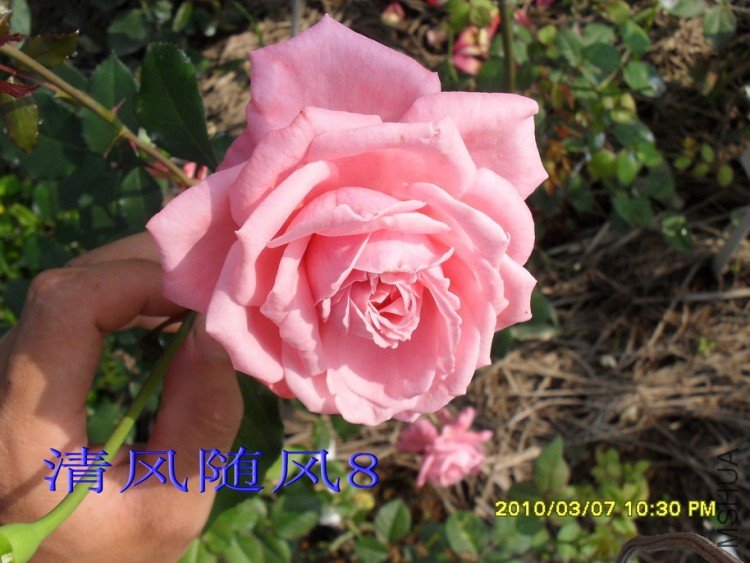 ������11 (4).jpg