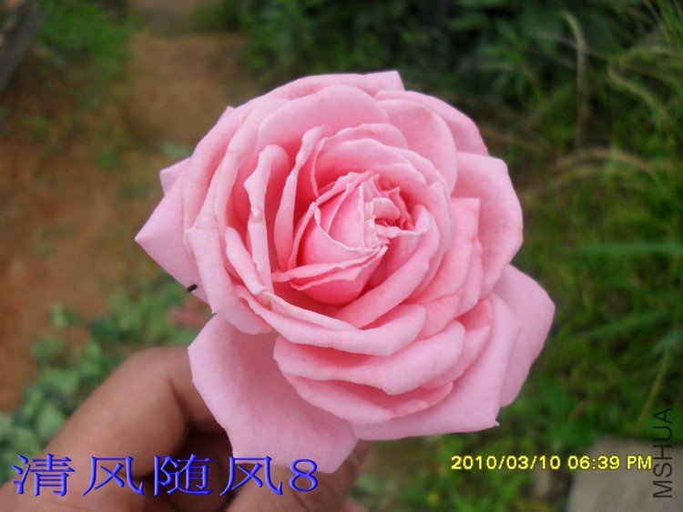 ������11 (6).jpg