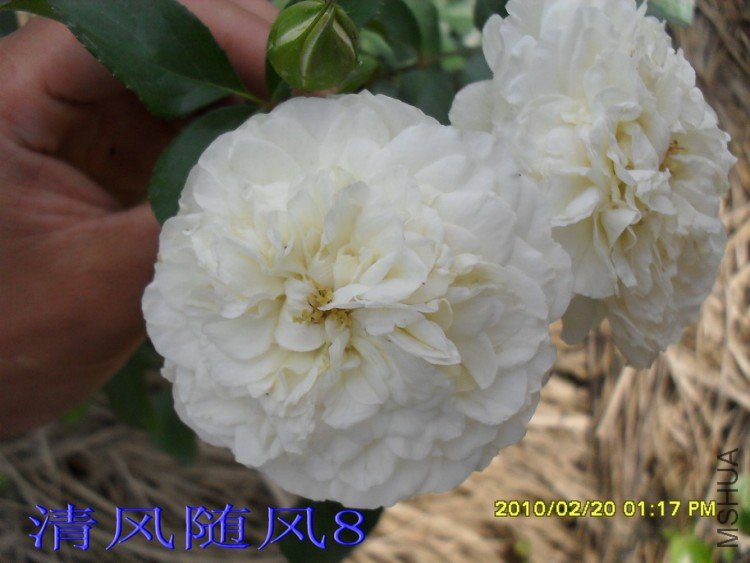 ÷�ʵ���11 (2).jpg