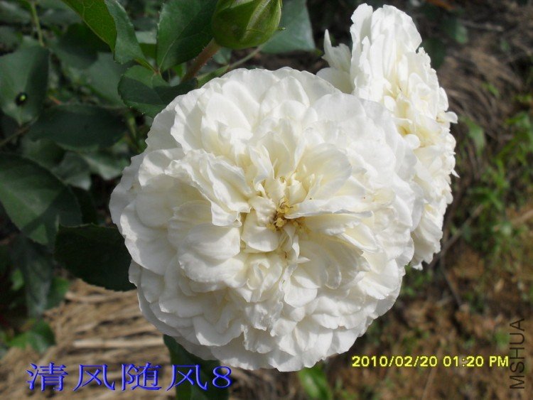 ÷�ʵ���11 (3).jpg