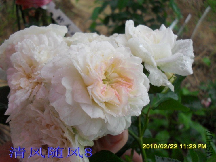 ÷�ʵ���11 (8).jpg