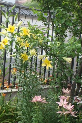 ������С ��ת DSC06238.JPG