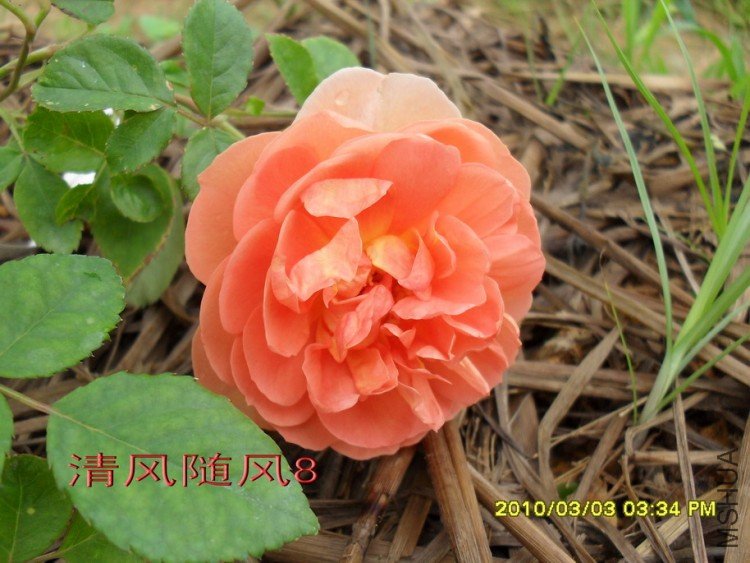 ���ذ�˹͡11 (4).jpg