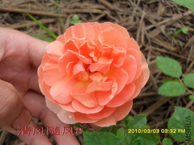 ���ذ�˹͡11 (1).jpg