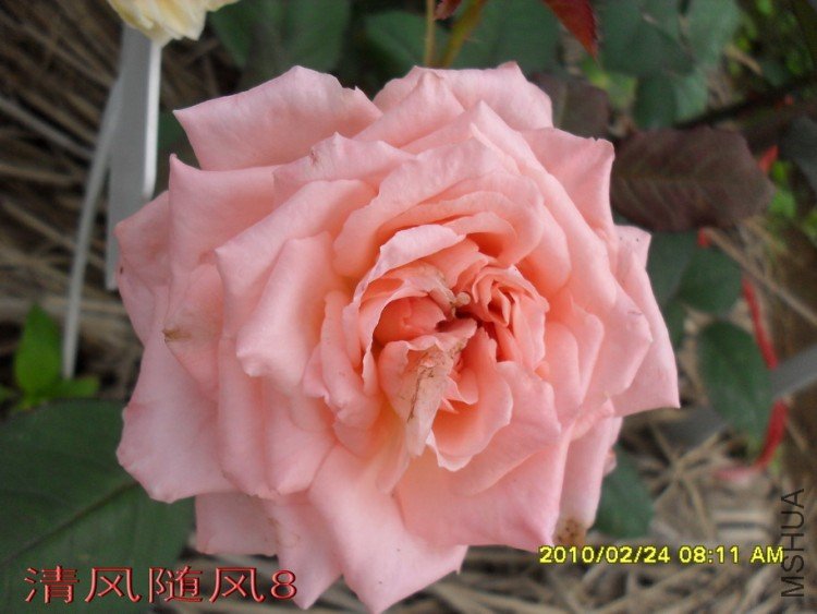 ������˹��������11 (3).jpg