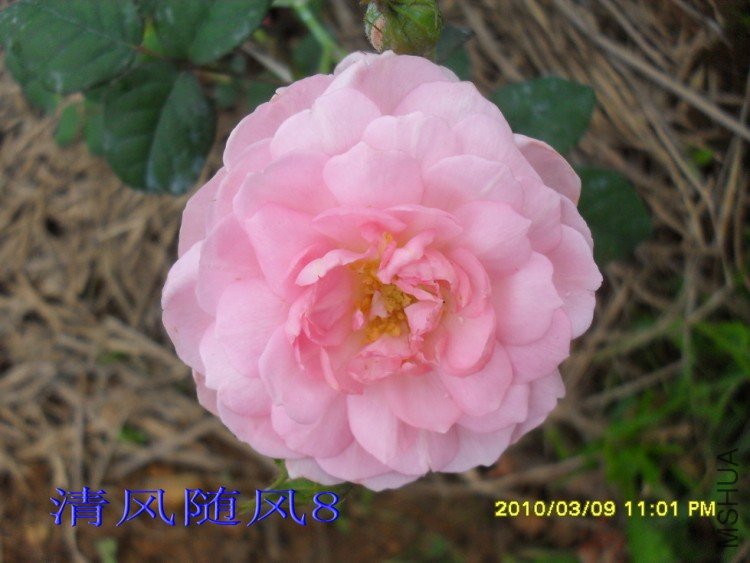 Ȩ��֮��11 (7).jpg