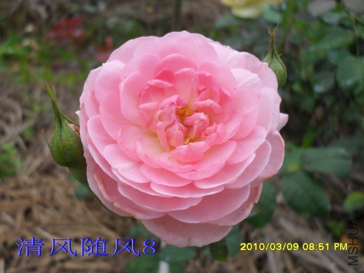 Ȩ��֮��11 (2).jpg