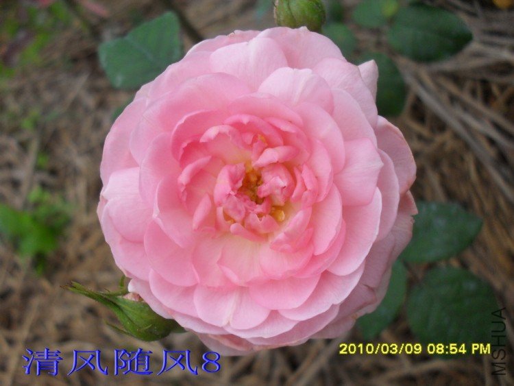 Ȩ��֮��11 (5).jpg