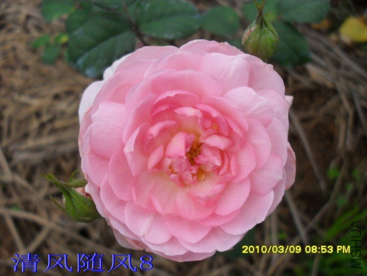 Ȩ��֮��11 (3).jpg