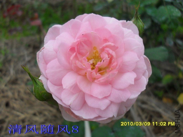 Ȩ��֮��11 (8).jpg