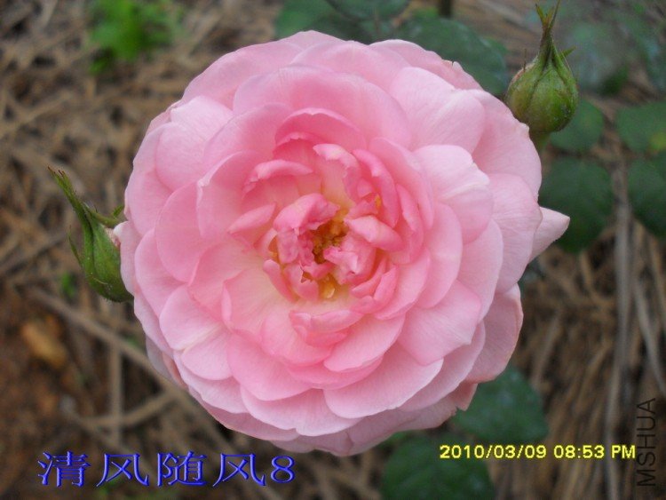 Ȩ��֮��11 (4).jpg