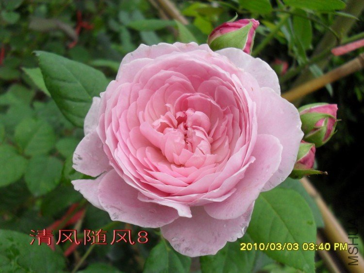 ���ɾ���11 (2).jpg