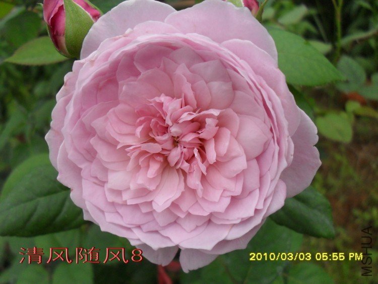 ���ɾ���11 (3).jpg