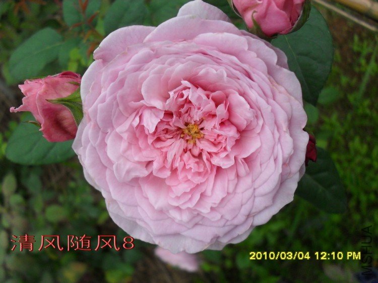 ���ɾ���11 (8).jpg