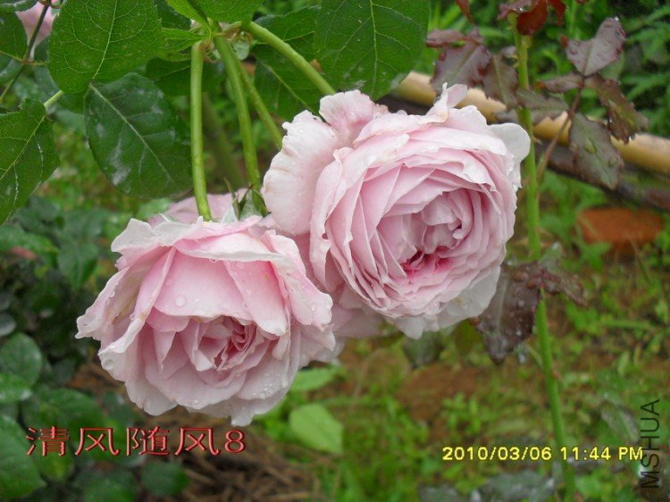 ���ɾ���11 (9).jpg