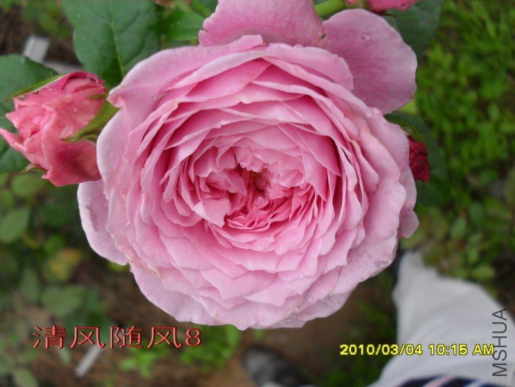 ���ɾ���11 (7).jpg