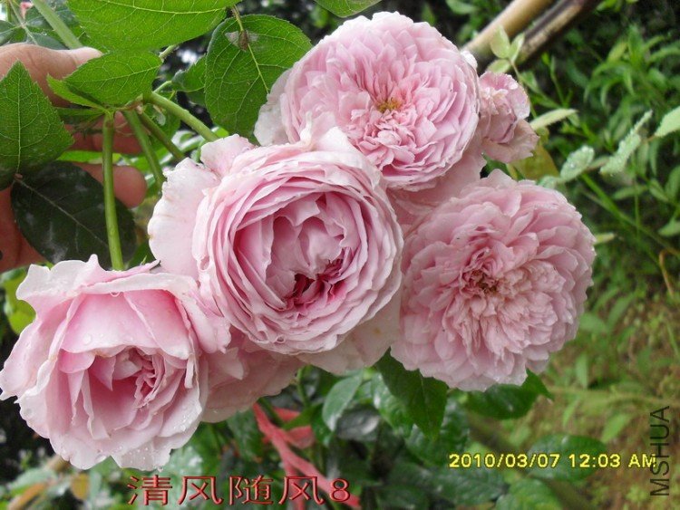 ���ɾ���11 (12).jpg