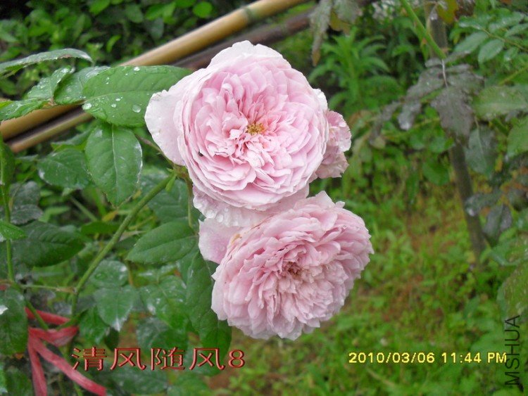 ���ɾ���11 (6).jpg