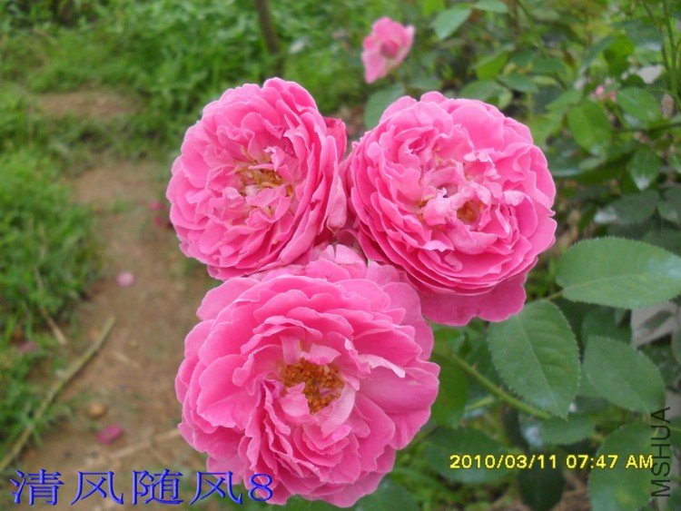 ����õ��14 (6).jpg