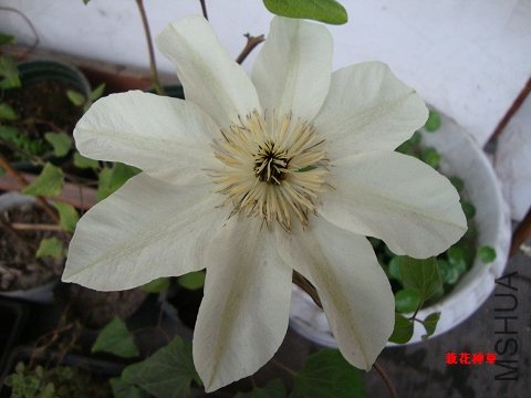 DSC02210.jpg