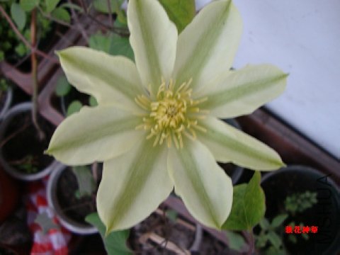 DSC02211.jpg