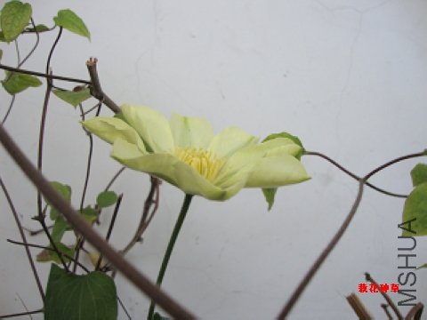 DSC02212.jpg