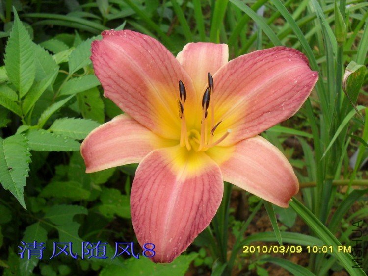 SDC11102.jpg