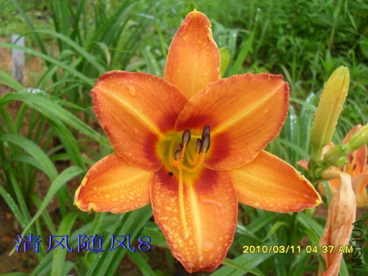 SDC11791.jpg