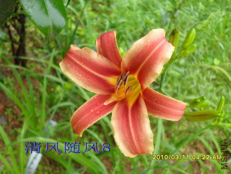 SDC11763.jpg