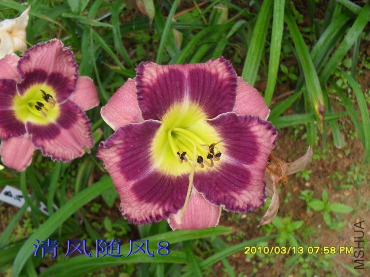 SDC12121.jpg