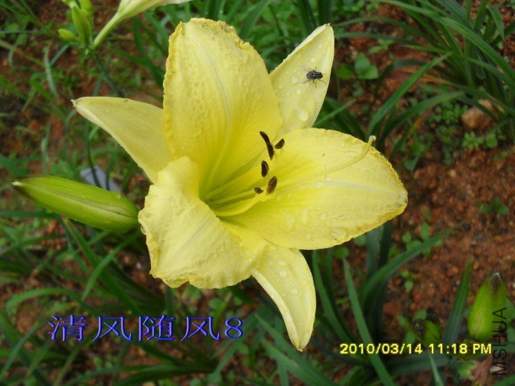 SDC12339.jpg