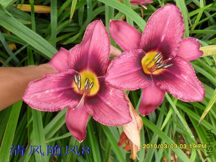 SDC15218.jpg