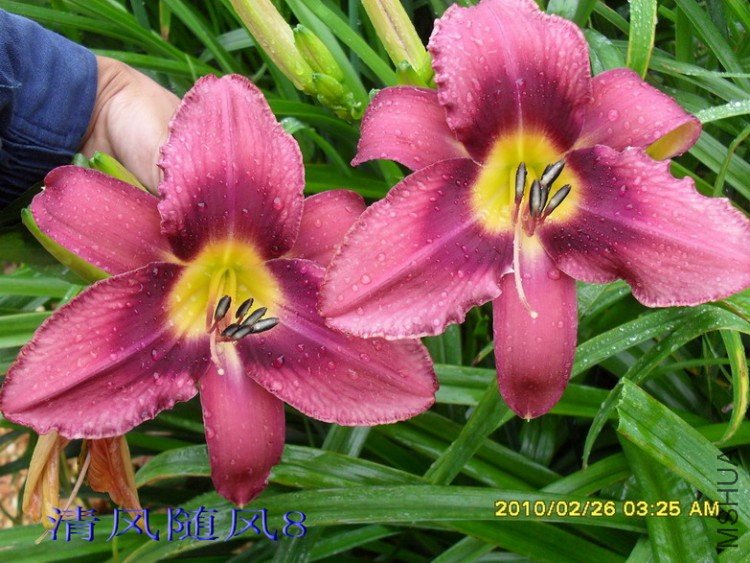 SDC125331.jpg