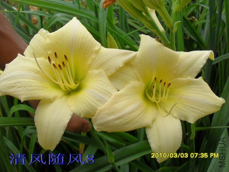 SDC16285.jpg